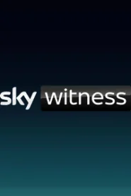 Sky Witness